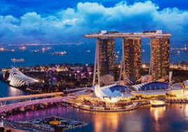 森林舞会电玩城正式版